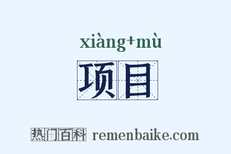 项目是什么意思的图片
